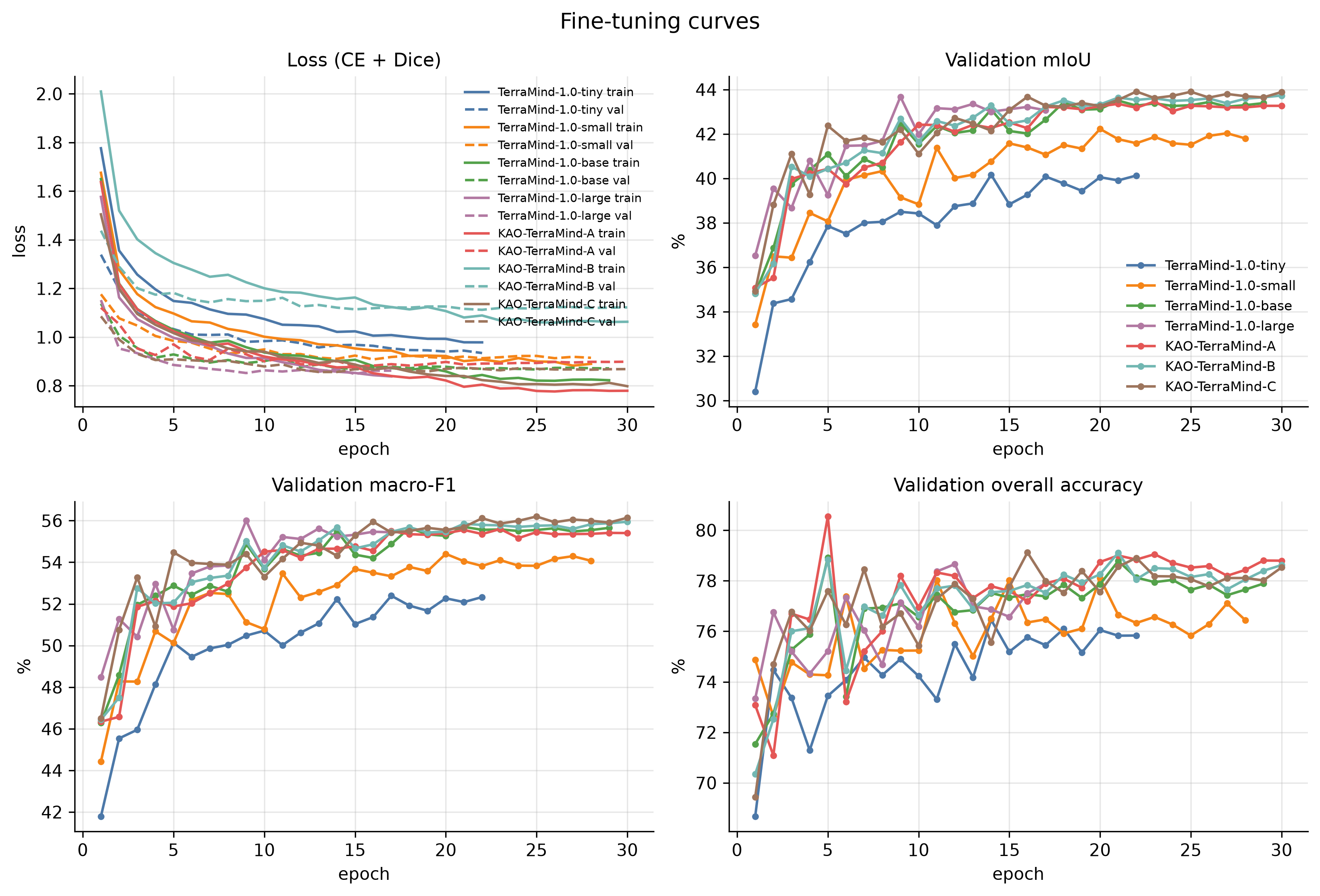 Fine-tuning curves: loss, validation mIoU, macro-F1 and overall accuracy for all models