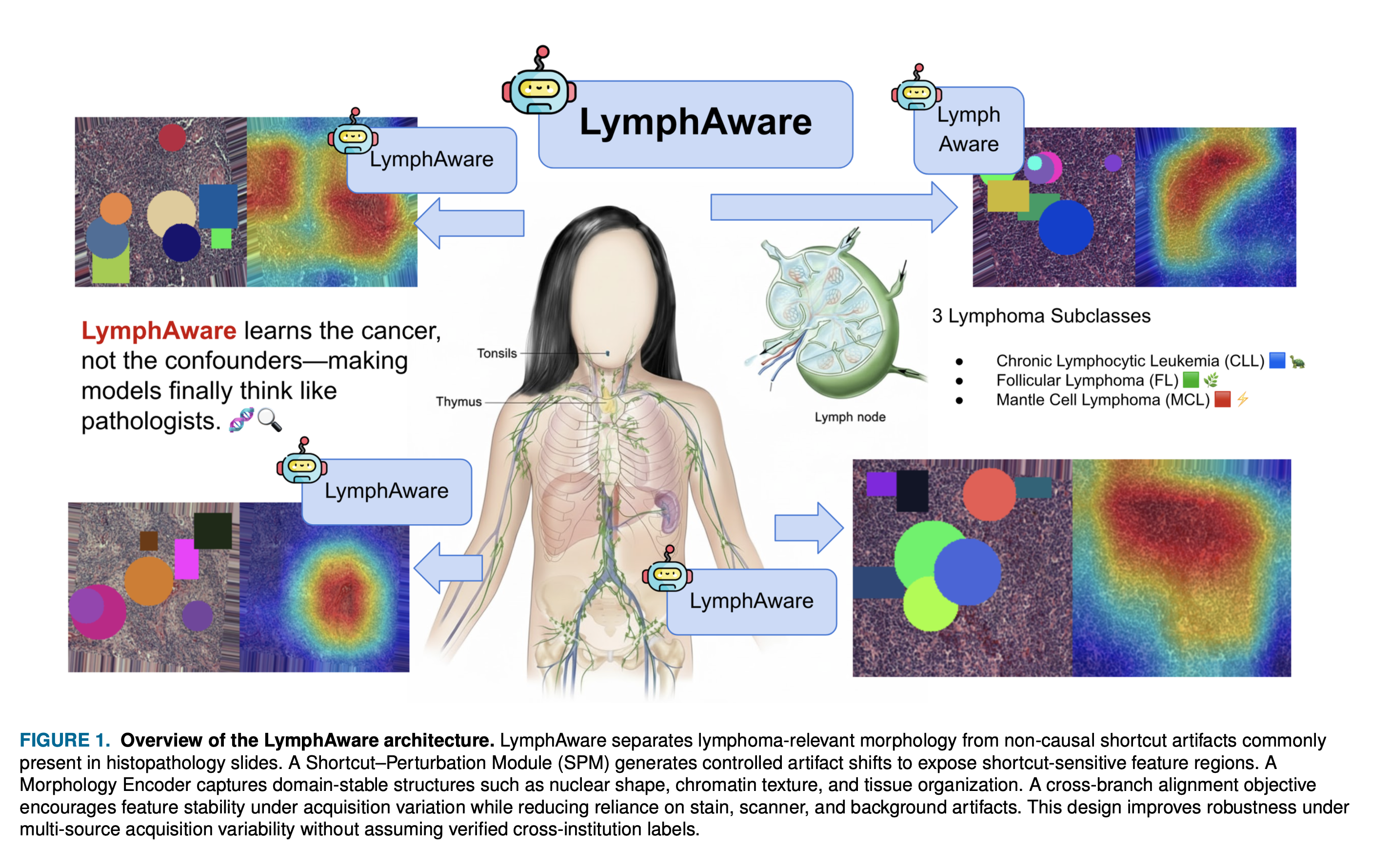 LymphAware Architecture