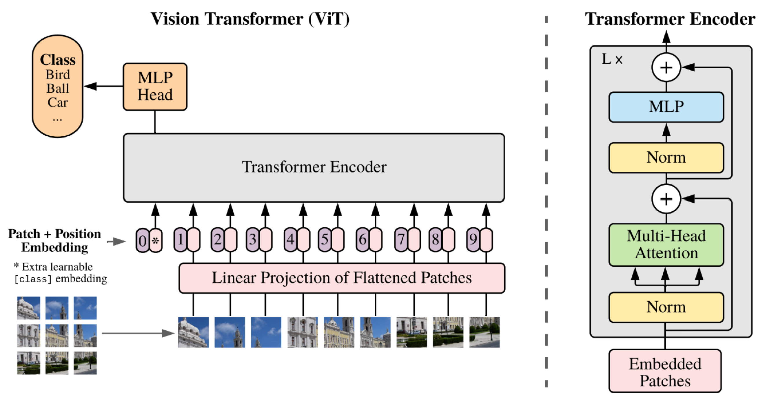Model overview of Vision Transformer
