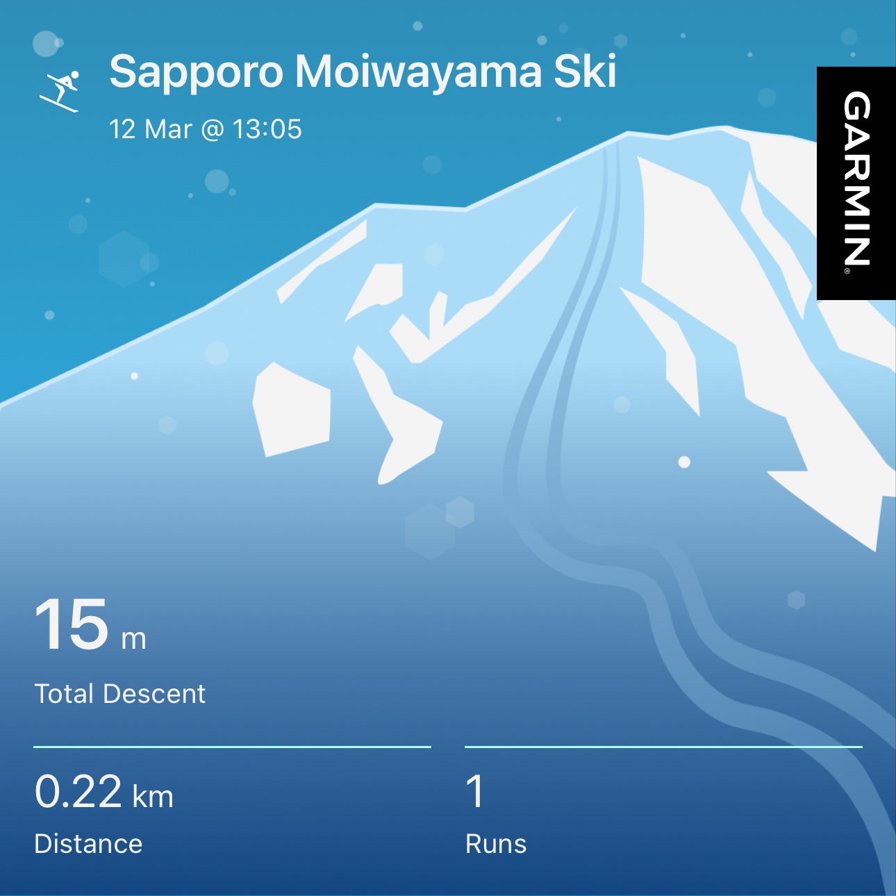 Garmin skiing statistics