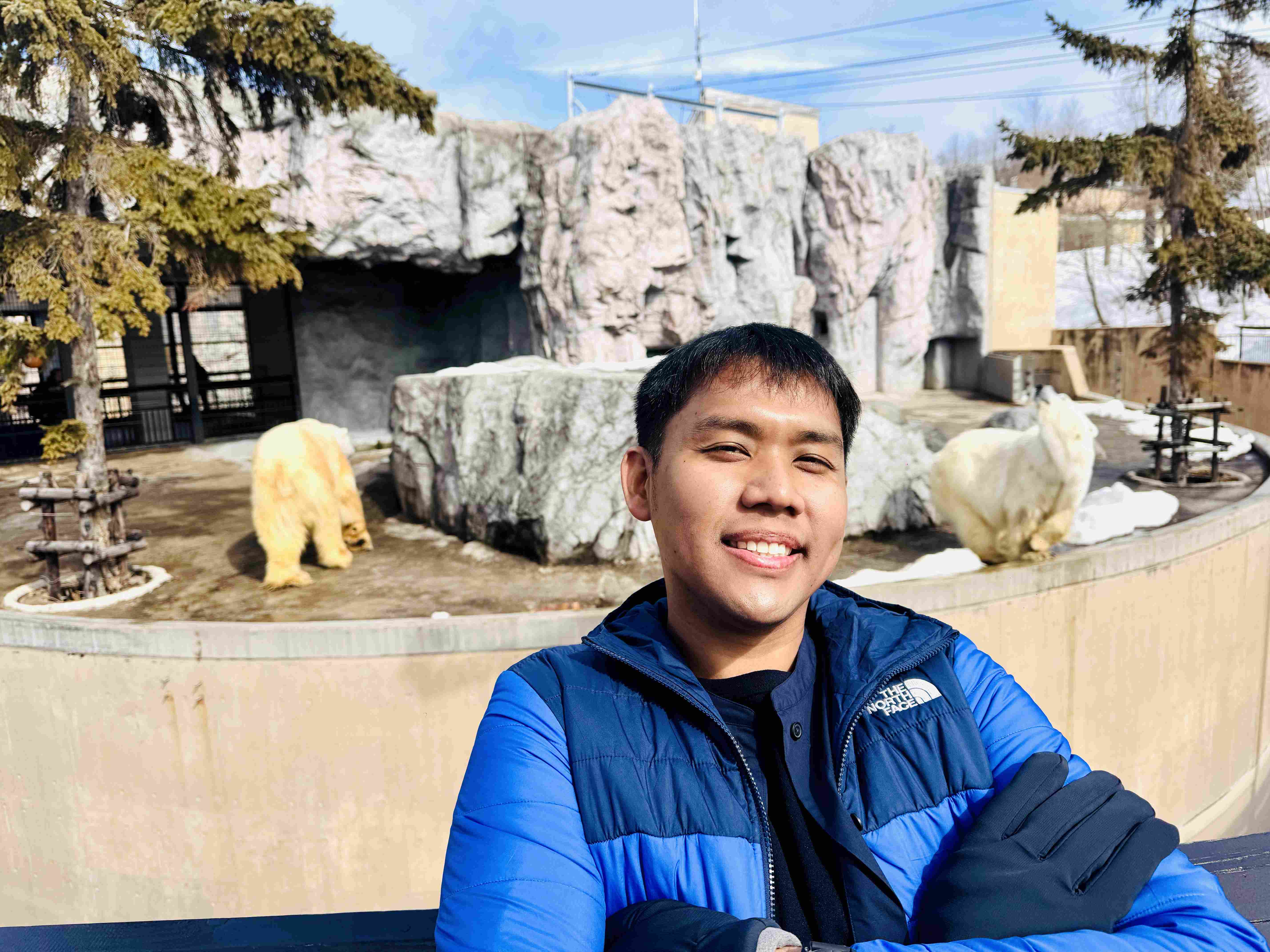 Polar bear at Asahiyama Zoo Asahikawa