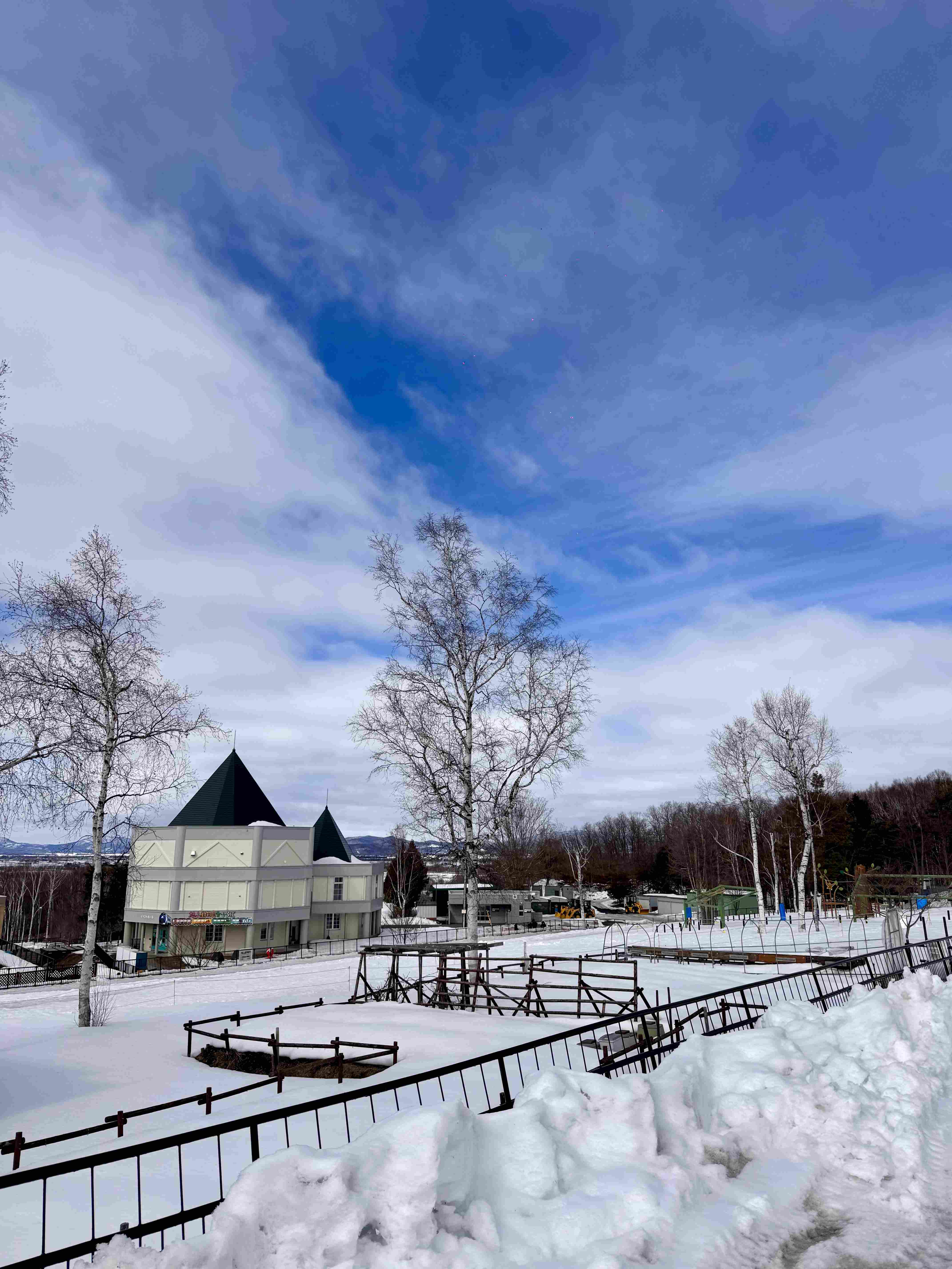 Winter scenery in Hokkaido city