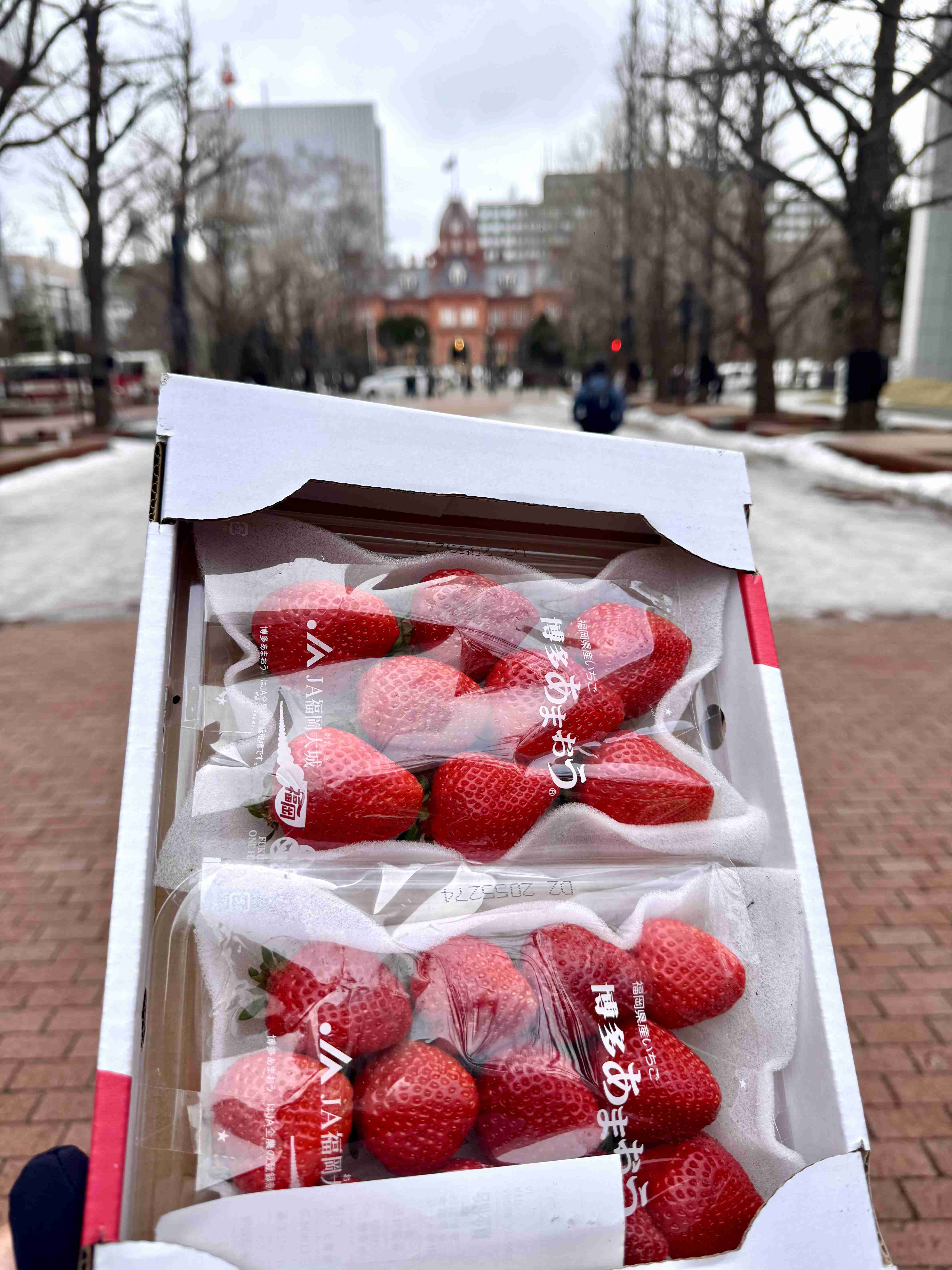 Strawberries in front of the Hokkaido Red Brick Government Office