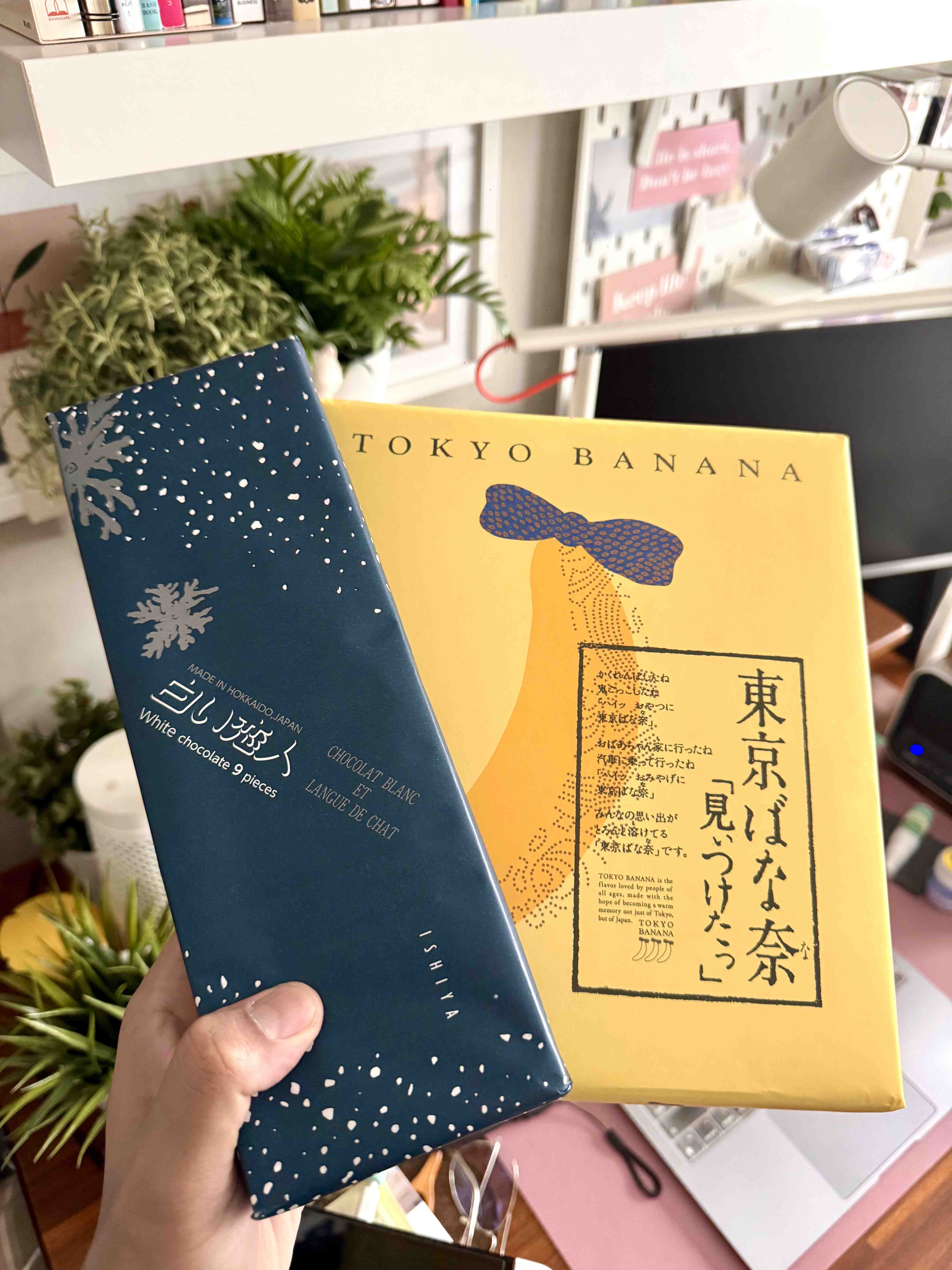 Returning home from Hokkaido trip