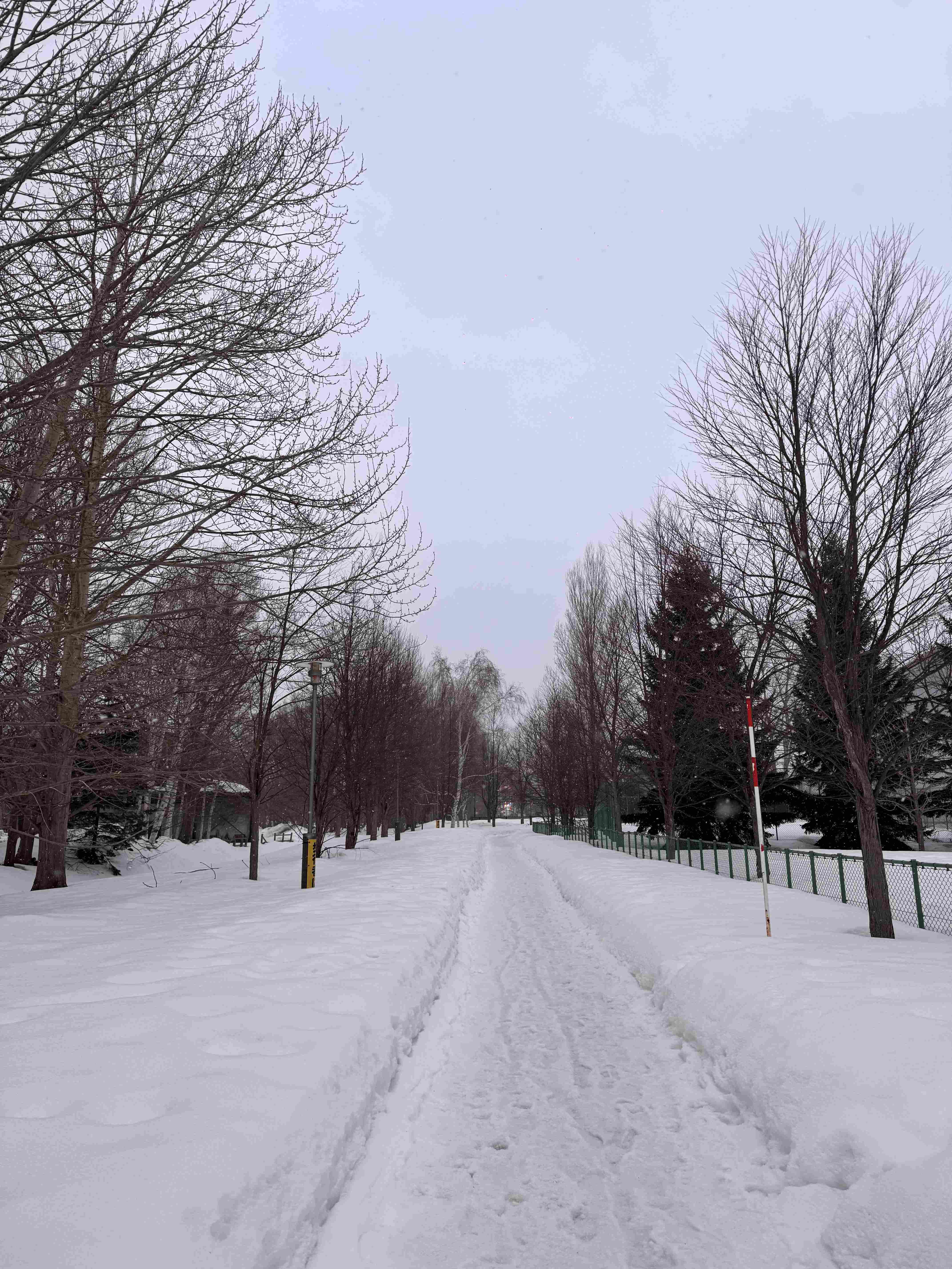 Final memory of snowy city run