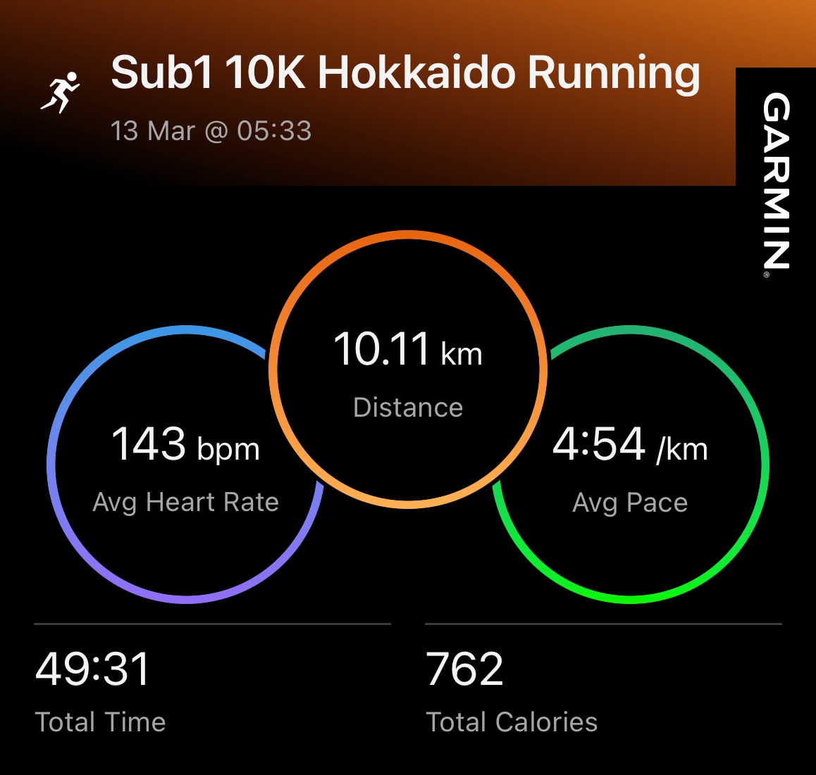 Garmin running statistics for the 10K city run