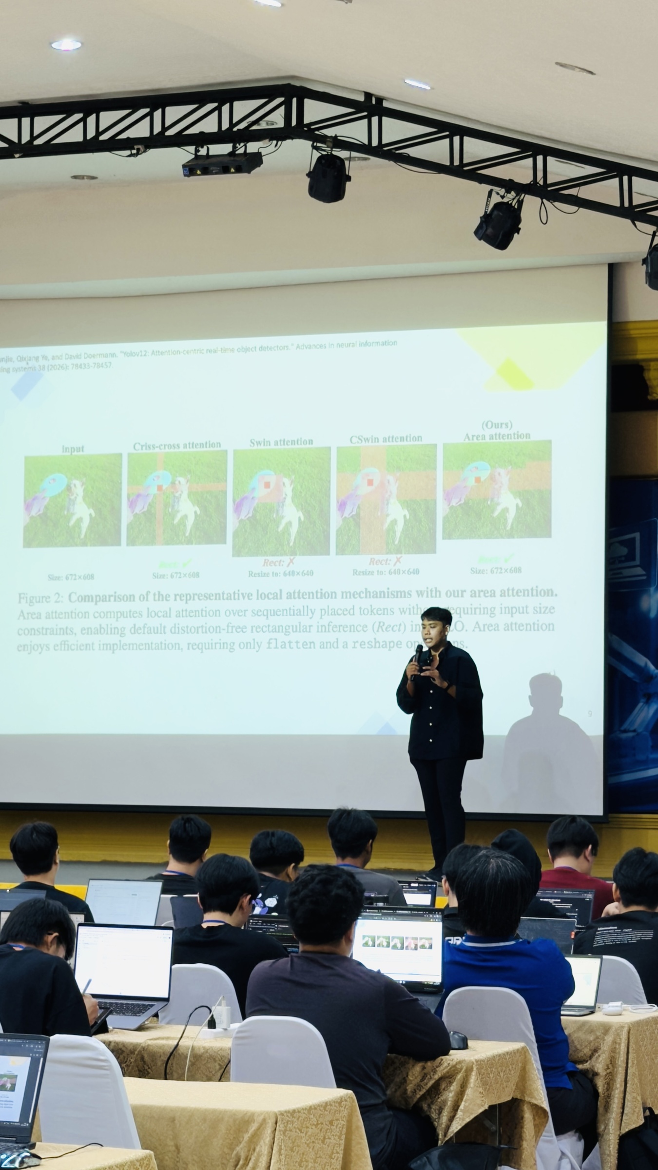Explaining attention mechanisms in YOLOv12