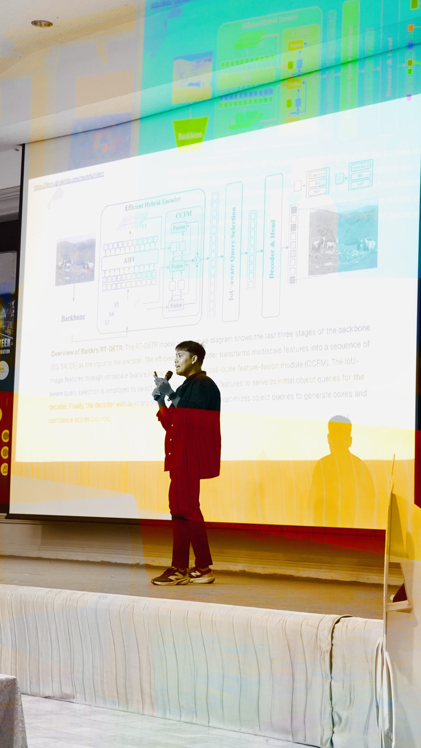 Teaching RT-DETR transformer object detector