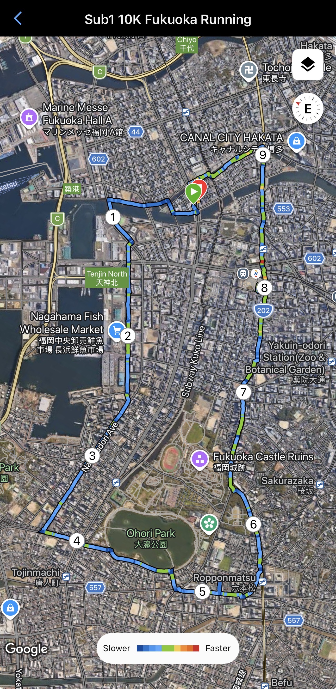 Satellite Running Map