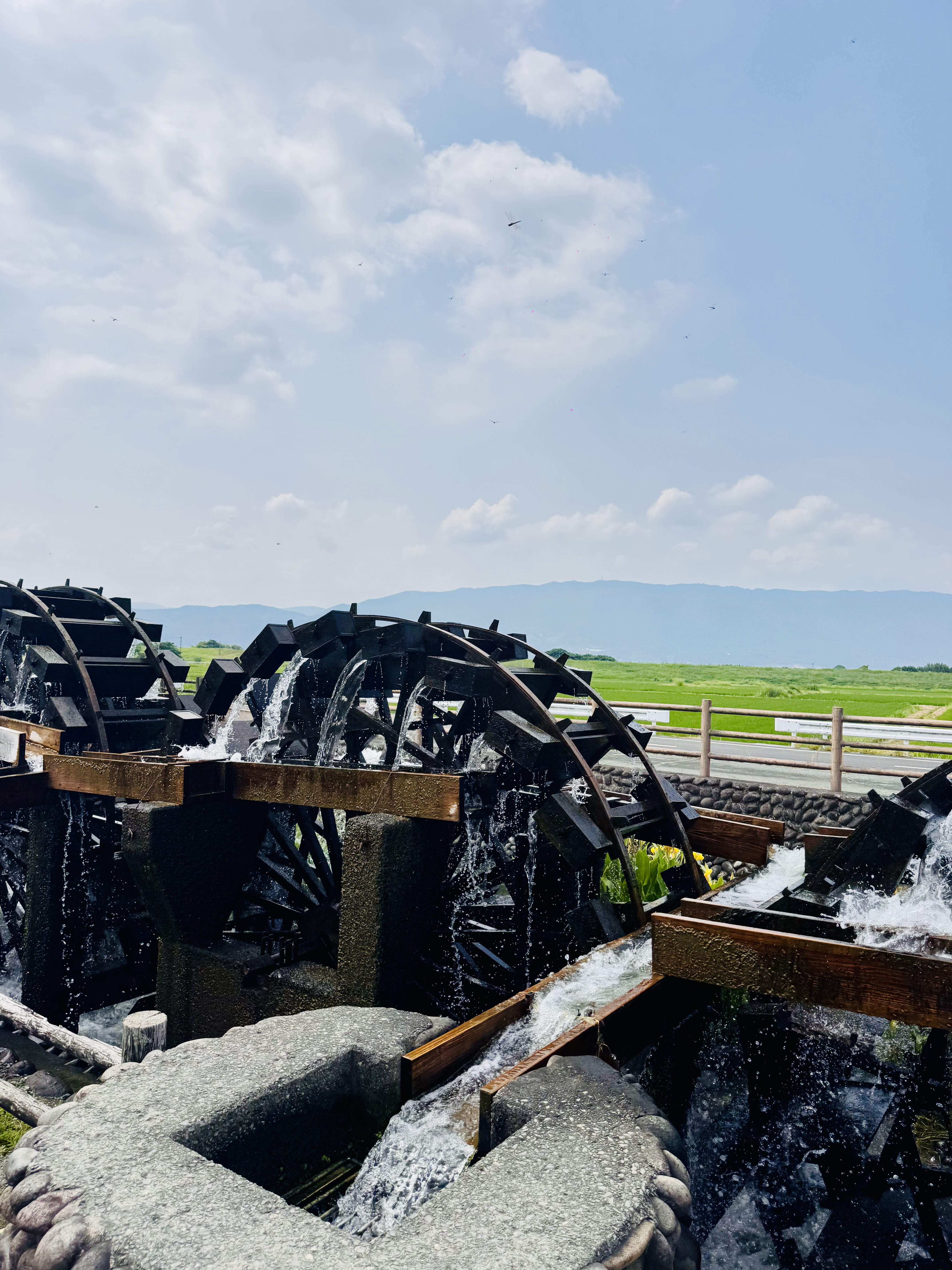 Historical Waterwheels of Asakura landscape