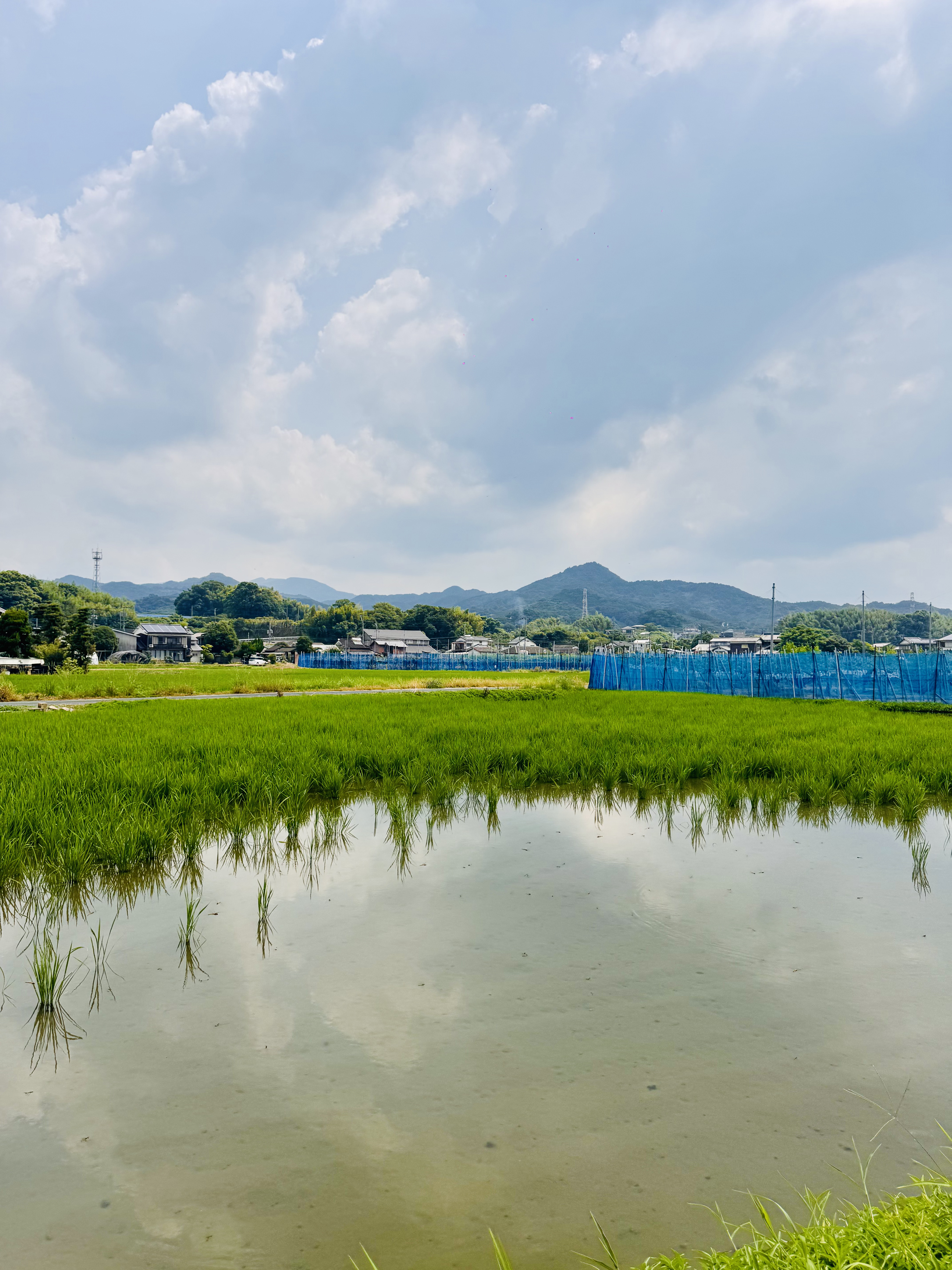 Countryside around Historical Waterwheels of Asakura