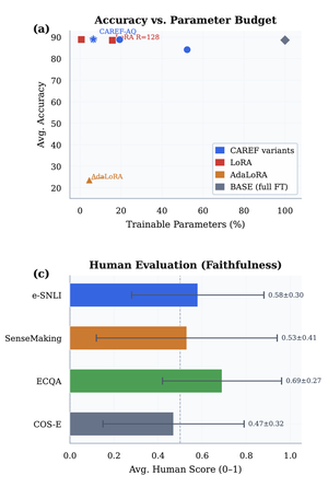 CAREF: Calibration-Aware Regularization for Explanation Faithfulness Without Rationale Supervision