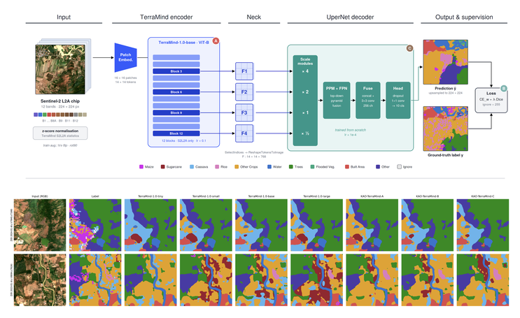KAO-TerraMind: Targeted Adaptation of Geospatial Foundation Models for Dense Prediction