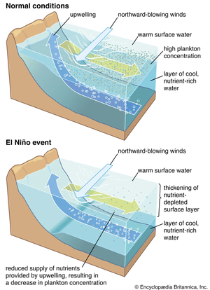 SEA-ViT: Sea Surface Currents Forecasting Using Vision Transformer and GRU-Based Spatio-Temporal Covariance Modeling