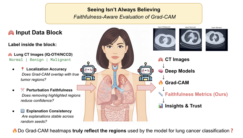 Seeing Isn't Always Believing: Analysis of Grad-CAM Faithfulness and Localization Reliability in Lung Cancer CT Classification